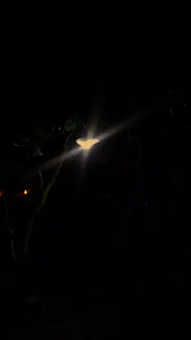 لا طاقة لي للكلام، ولو كان هناك ماهو أهدأ من الصمت لفعلت. Aku tak punya energi untuk berbicara, dan jika ada yang lebih tenang dari diam, aku pasti akan melakukannya. #vidioestestic#arabicsong#lampu#malam#ketenangan#fyp#suaramerdu#jalurbahagia 
