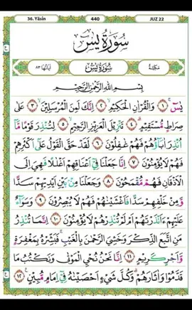 Surat Yasin #suratyasin #yasin #mengajiyasin #suratyasinfull #suratyasinfullayat #murojaahquran #murojaahyasin #suratsuratmalam #bacaanalquran #suratpilihanal-Qu'an 