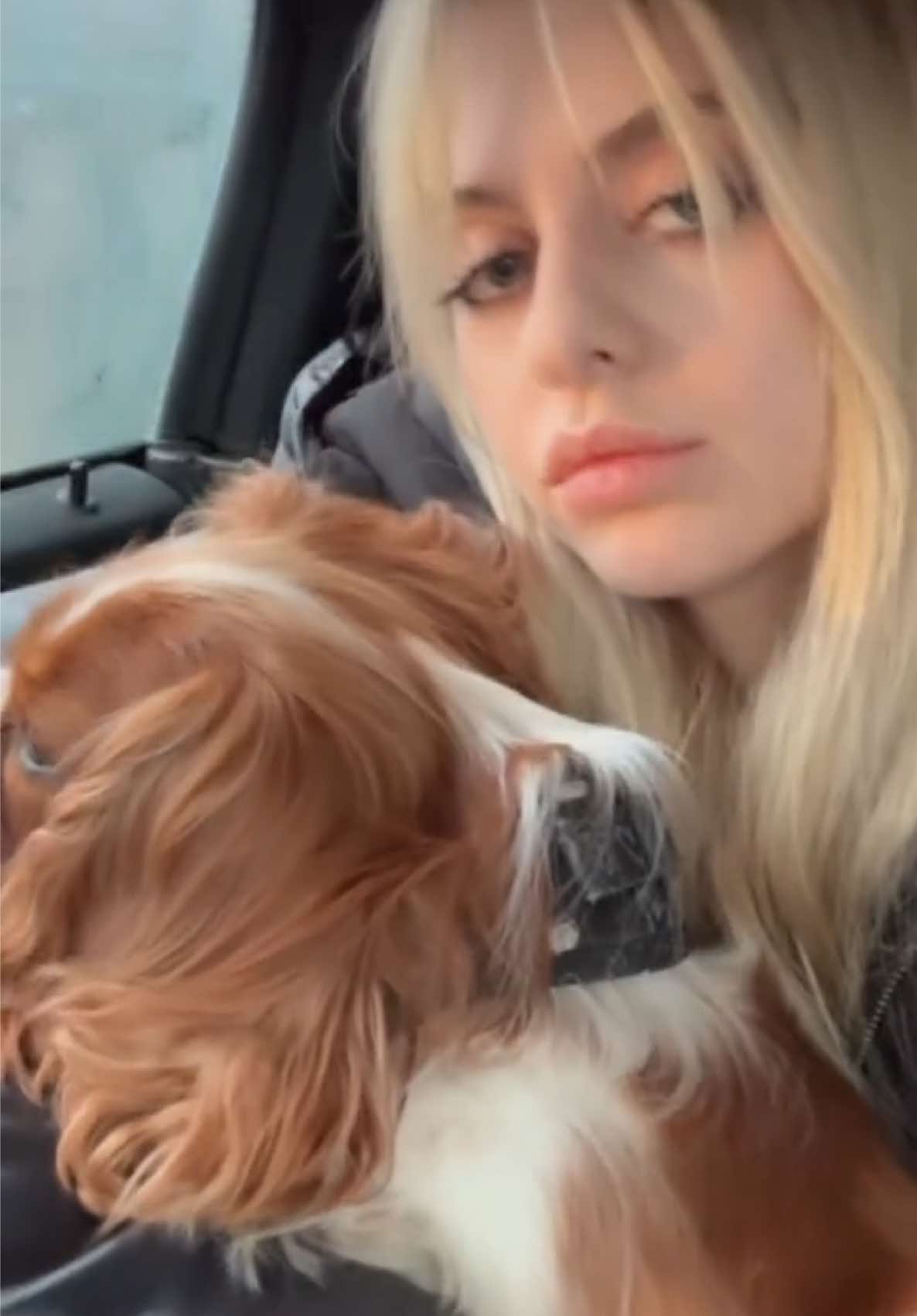 London based #cavalierkingcharlesspaniel #cavalierkingcharles #dog #london #londondogs 