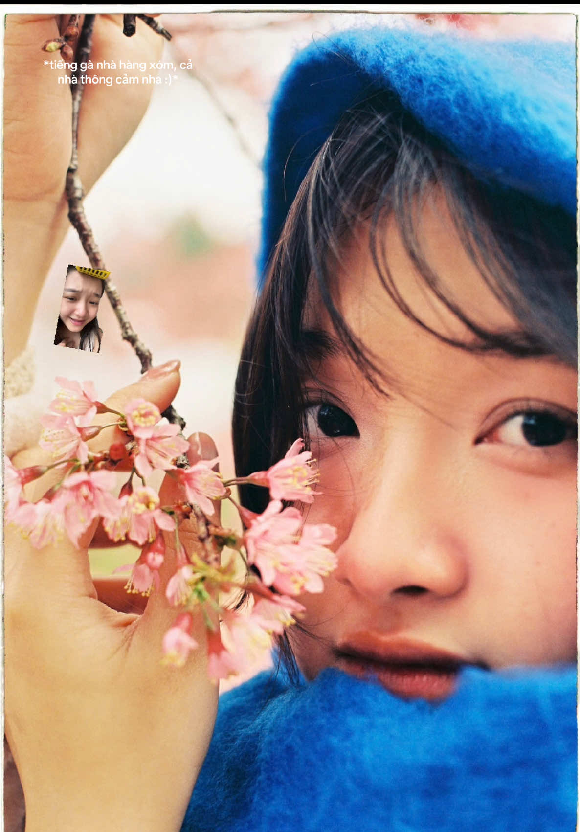 Trả lời @ThZiiiii🥕 rì viu nhẹ nhàng ngẫu hứng 🥰🌝✨ #fyp #xh #fyppppppppppppppppppppppp #dalat #hoadao #dalattrip 