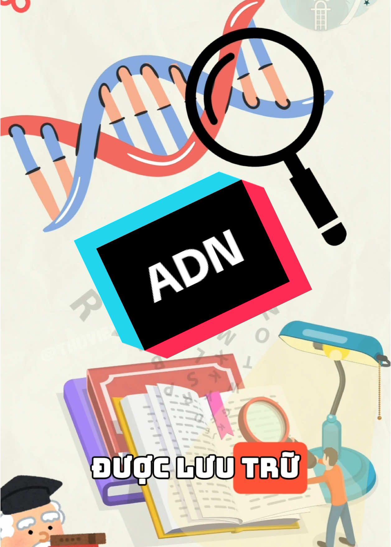 DNA lưu trữ thông tin di truyền như thế nào? #thuviennho #kienthuyhoc #adn #LearnOnTikTok