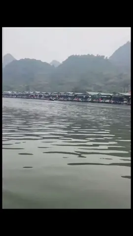 Ổng đang mệt bịt kín mít nhưng vẫn tỉnh lắm, vẫn nhìn ra Thuỷ Tiên là của Công Vinh nhé🤣 còn Thuỳ Tiên mới là của ông đúng không? 🤭 #nguyenthucthuytien #quanglinhvlog #phamquanglinh #teamchauphi #teamvietphi #kpopmaichuat 