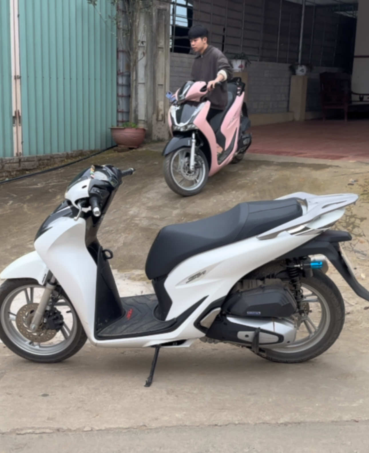 Chuẩn bị cho 2 em nó ngủ đông😌 @Nông Tiến Mạnh #xuhuongtiktok #hot #sh160 #21yenbai 