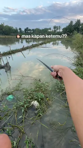 #fyp #xybca #mancing 