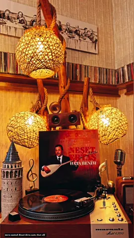 Cahildim dünyanın rengine kandım 🥀 #neşetertaş #plak 