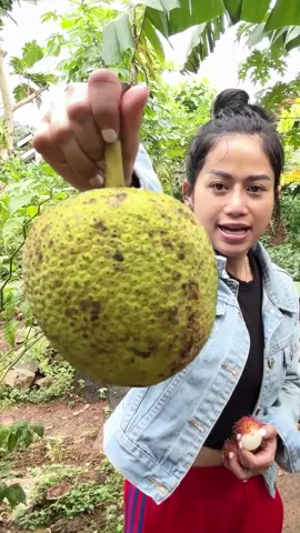 Sukun Goreng metik langsung dari Kebun #faridanurhan #fyp #serunyaditiktok #awurawuremplok #foryourpage #mukbang 