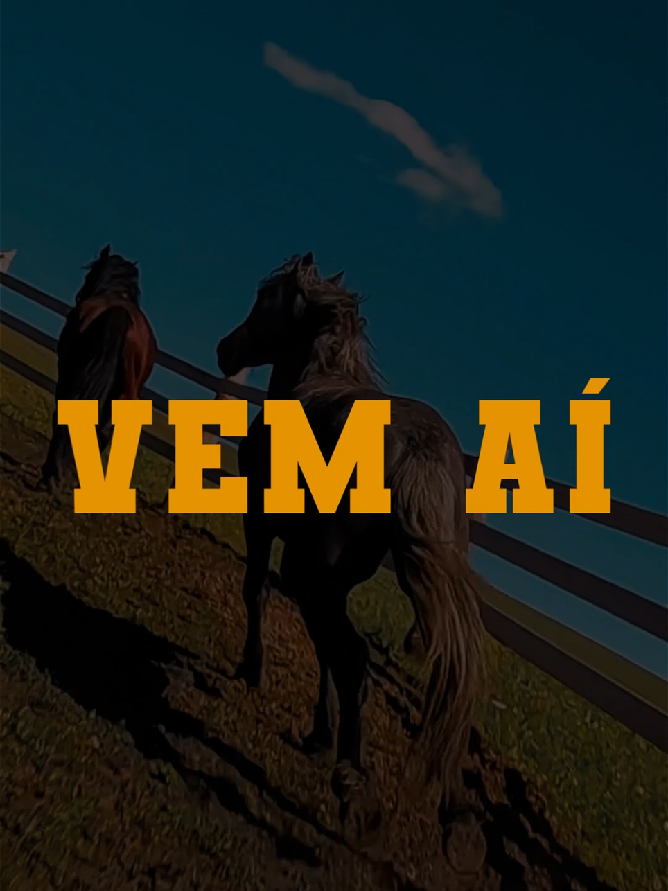 Motion Flyer CHAMADA PARA CAVALGADA BREJINHO CIKEL. Gostaria de fazer um trabalho comigo? Entre em contato comigo agora mesmo e solicite seu orçamento (98) 98193-4828. #mydart #cavalgada #vaquejada #cavalos #festa #piseiro #forro 