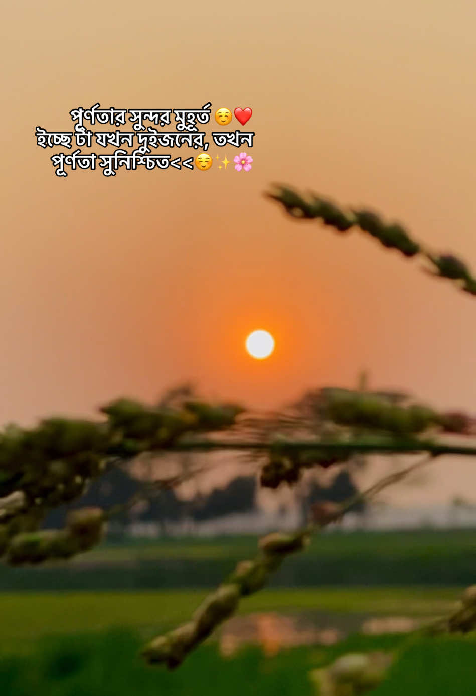 পূর্ণতার সুন্দর মুহূর্ত ☺️❤️  ইচ্ছে টা যখন দুইজনের, তখন পূর্ণতা সুনিশ্চিত<<☺️✨🌸#caption #foryou #vairal #captionbd1 #fyyyyyyyyyyyyyyyy 