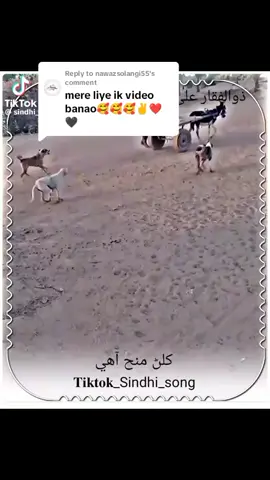 Replying to @nawazsolangi55 