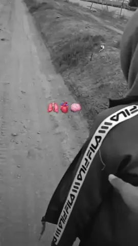 no cp #galaubrutal #storywakeren #smphits💥 #jabodetabek 