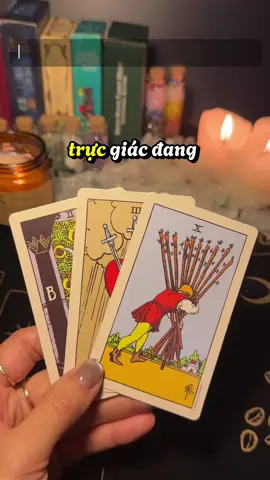 Claim 555 ❤️ #kellytarot #boibaitarot #trending #tarot #xuhuong #tiktok #manifest 