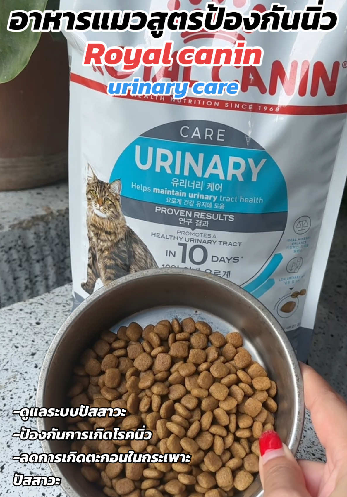 อาหารแมวสูตรป้องกันการเกิดนิ่ว #อาหารแมวป้องกันนิ่ว #นิ่วในแมว #นิ่วเม็ดทรายในแมว #รอยัลคานิน #royalcanin 