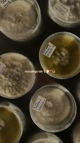 #CapCut #mycology #planA #scientist #esthetic #aestheticscience #pinterest #microbiology #biology 