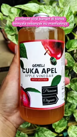 cuka apel original,cuka apel murni,cuka apel gemeli 100% organik with mother,cuka apel isi 500mili. #cukaapel #cukaapelwithmother #cukaapeloriginal #cukaapelmurni #gemeli #promoguncang22 