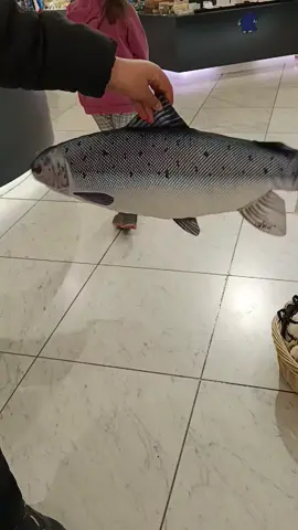 horizontal rotierende fische