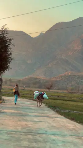 Ra pi da ba km Lara da cha zar ta #foryouu #expoler #viral_video 