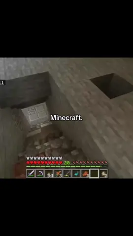 #Minecraft 