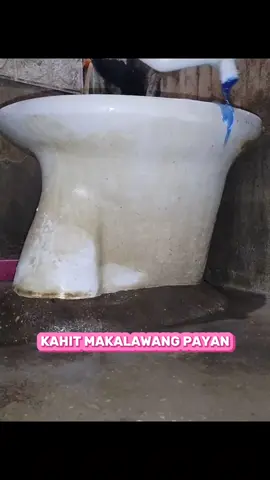 Na subukan nyo naba to? #toiletcleanerstainremoval #toiletcleanerbuy1get3 #toiletcleaner 