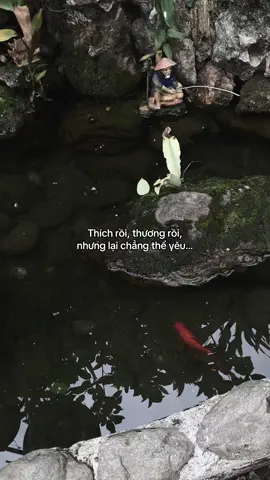 …#tamtrang #story 