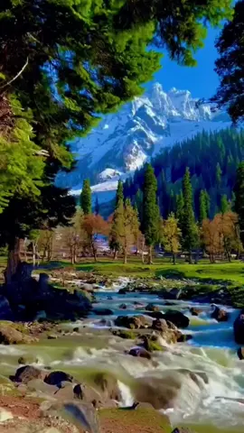 beautiful scenery with relaxing music #nature #natura #naturaleza #beautifulview #musica #landscape #naturevibes #relaxing #amazing #beautiful #naturerevue2025 