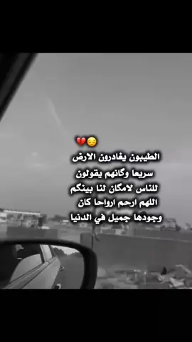 #مقبره_وادي_السلام💔😞 #الفراق_اقسى_انواع_العذاب💔🤕 #فقيدي_الراحل_الذي_يشبه_الجنة_في_عيني #