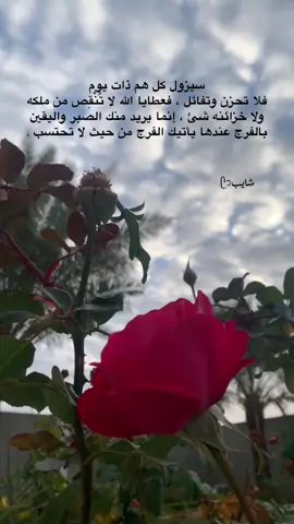 سيزول كل هم ذات يوم فلا تحزن #اقتباسات_عبارات_خواطر #🤍🤍 #fy #جبراتت📮 #خذلان #لايك_فولو #اكسبلورexplore #yyyyyyyyyyyyyyyyyy 