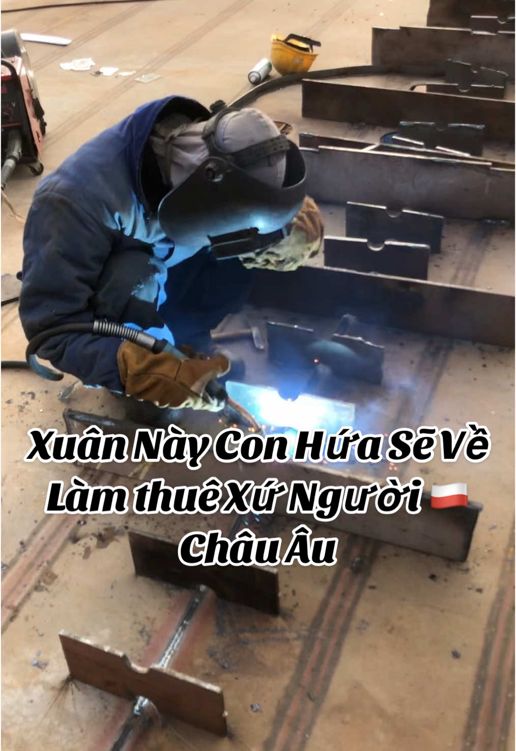 #xuhuong Tình hình công Việc của Mấy Ae ở Châu Âu ra sao rồi 🇵🇱👋 #fyp #vairal #chauau #xkld #poland🇵🇱 