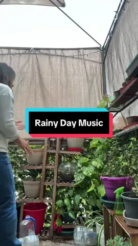 I don’t make the rules - don’t put on a good sad song if you don’t want me to be good and sad on a rainy day ☔️  @Ivan Orozco  #newmusic #ivanorozco #yse #regionalmexicano🇲🇽 #mexicanmusic #sierreno #rainydays #emokids #myex #dramatic 