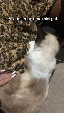 ela já é adulta, tem mais de 1 ano e simplesmente não cresceu 🥲