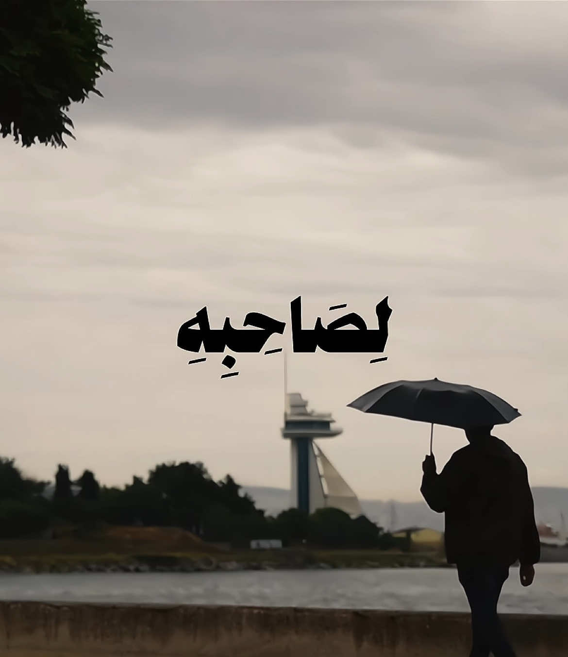حسابي الثاني ضيفوني 🤍 @نصيحه 📻  إِذْ يَقُولُ لِصَاحِبِهِ لَا تَحْزَنْ إِنَّ اللَّهَ مَعَنَا ۖ فَأَنزَلَ اللَّهُ سَكِينَتَهُ عَلَيْهِ وَأَيَّدَهُ بِجُنُودٍ لَّمْ تَرَوْهَا #قران #quran #سوره_التوبه #foryou #ارح_سمعك #علي_جابر 