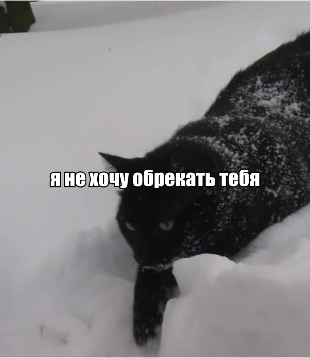 грязь-расскажи мне о любви #текстпесни #грязь #lyrics #расскажимнеолюбви #щп #song 