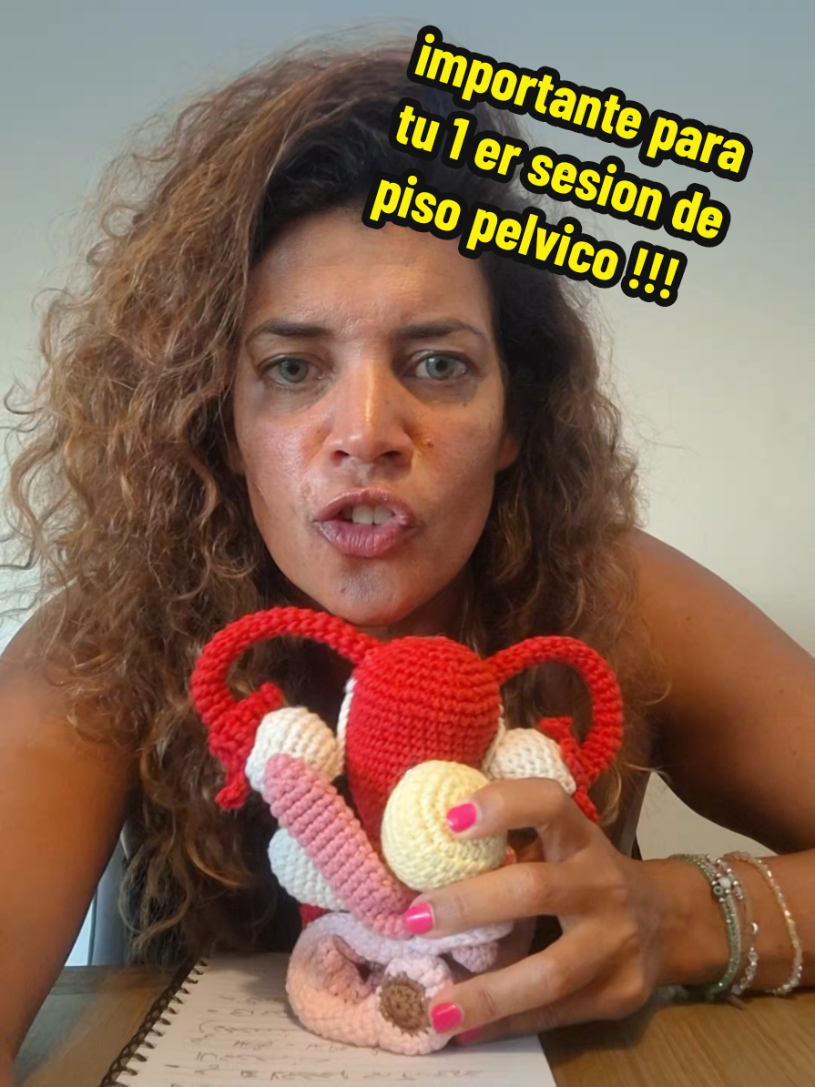 Todo lo que tenes que saber para tu sesion de rehabilitacion de suelo pelvico #gasmo♡ #urology #procto #incontinencia #bsksaludintima #pelvisfloor #pelvis #ontinencia 