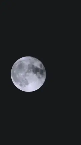 #parati #ratablanca #nochesinsueño #amigos #fypシ゚viral #fyp #videoviral #tendencia #tiktokstudio #estados #todos #rock 