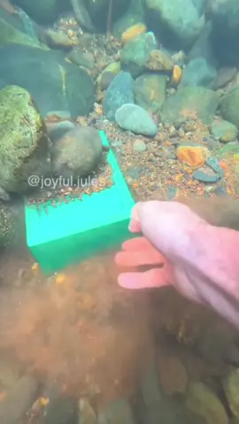 #underwater #treasure #scubadiving #treasurehunt