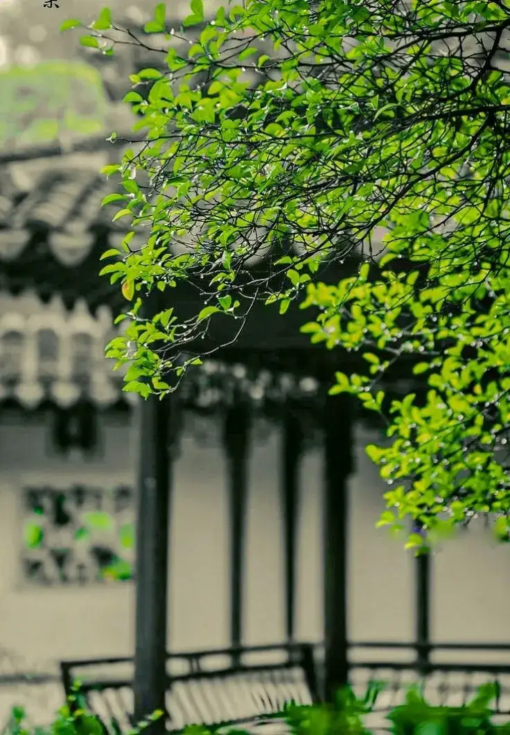 #the #background #beautiful #tiktok #foryou #trending saund #
