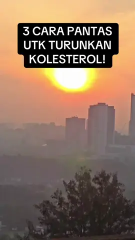 3 CARA PANTAS UTK TURUNKAN KOLESTEROL!