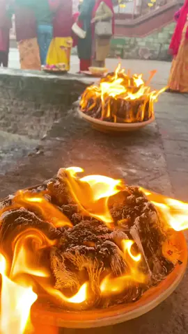 Lakh batti at pashupati #creatorsearchinsights #tiktok #everyone #foryou #fyp 