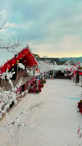 Thị Trấn Tuyết những ngày sau Tết thật bình yên #Thitrantuyet #Dalat