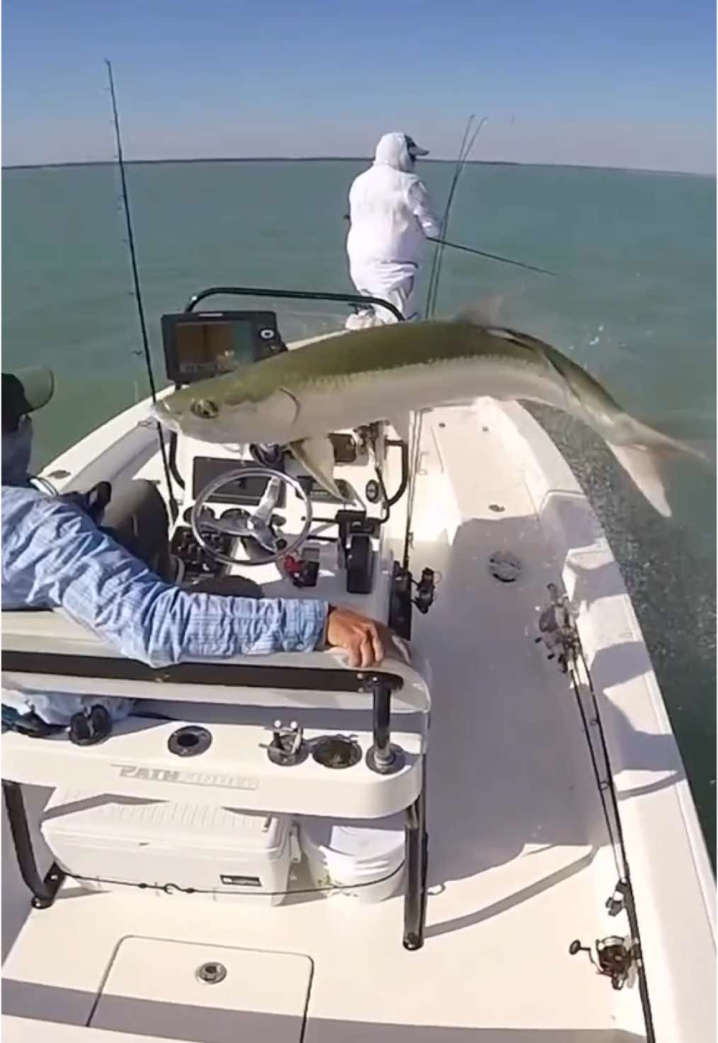 Fin-tastic Feat: Fish Jumps Over Boat in Jaw-Dropping Stunt * * Get ready to be hooked by this fish’s death-defying leap over a boat! Watch as this aquatic acrobat soars through the air, leaving onlookers in awe of its gravity-defying talent _____________ Dive into the video now and witness the fish’s incredible jump! 🌊 Share your own amazing animal videos with us and use * * * * * * * #ytspmediaa #fishyfeats #trending #reels #loveintheair #bliss #seo #sunset #vibes #explore #instagram #goals #nyc #lagos #nigeria #africa #shorts #video #feed #Love #ytspmediaa #fyp #search #wildlifewonders #jumpingfish