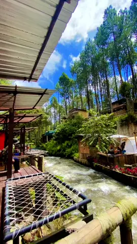 Palayangan Asri Riverside #palayanganasririverside #alam #glampingbandung #glampingnotcamping #rekomendasiwisatabandung 