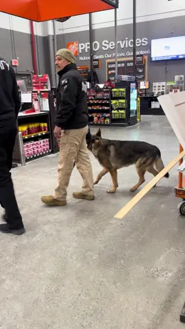 Watch,🤯👮🏻‍♂️ New Security, at Home Depot #newyorkcity #2025 