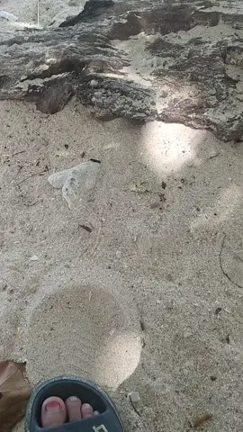 santai dulu di pantai, biar kaya' orang2.. #fyp #tiktokviral #myheartstereo #beachday #beach #beachvibes #panorama 