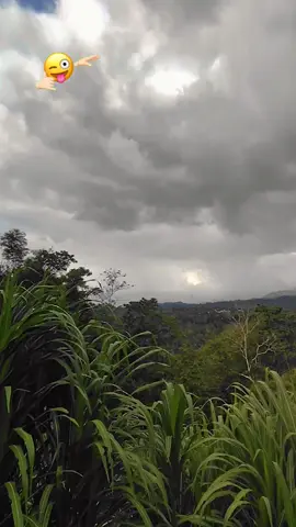 #petaniindonesia🇮🇩🇮🇩🇮🇩🌿🌿 