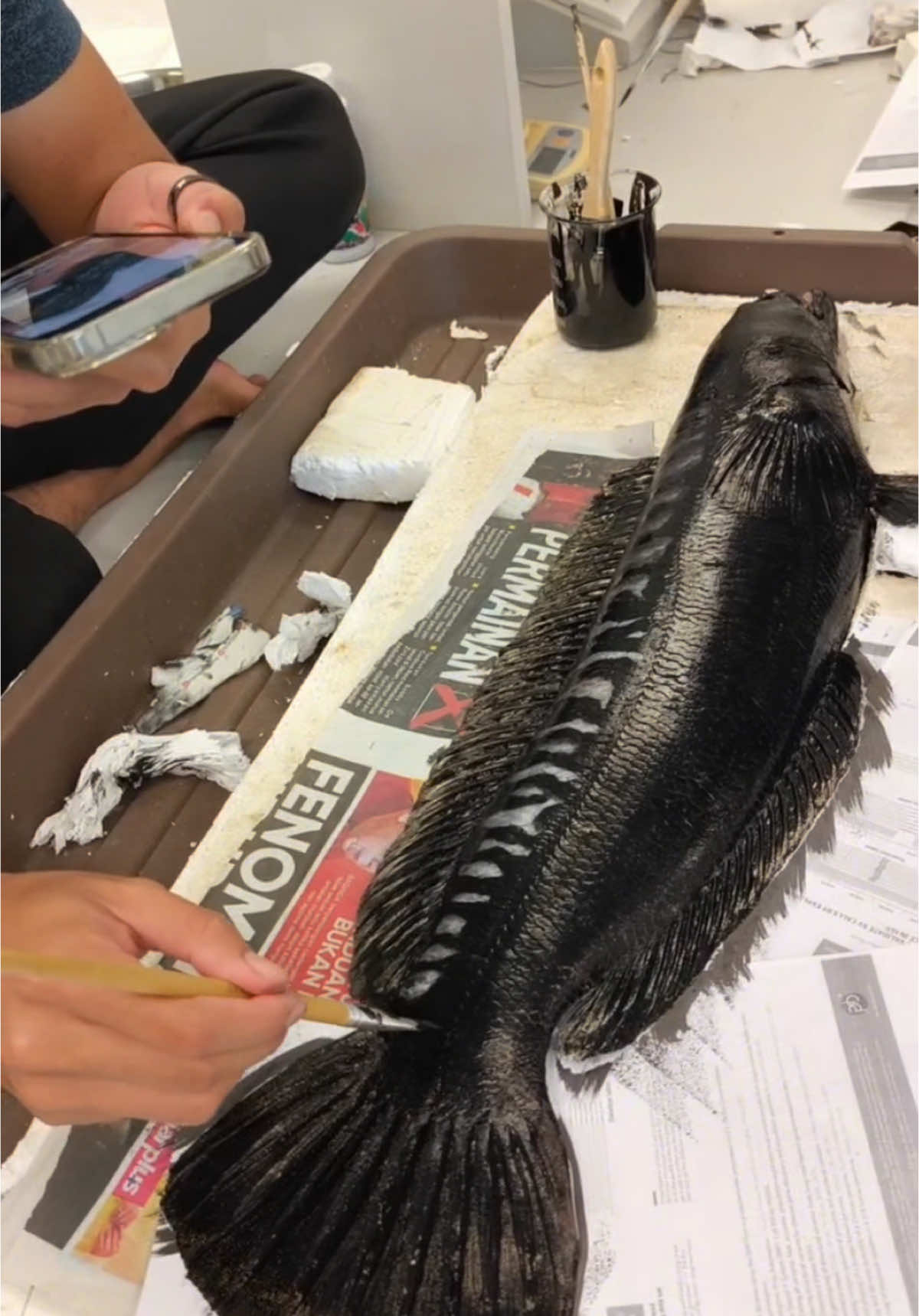 MENGECAT TOMAN !  Our latest Gyotaku project. Gyotaku is a traditional Japanese art of making fish prints #foryou #fyp #gyotaku #unisza #aquaticscience #fishart 