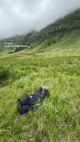 all i need now is this. #fyp #forest #nature #travel #Hiking #mountain #therapy #calm #bromotenggersemeru 
