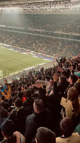 Seçilin Fonları #fenerbahçe #şampiyonfenerbahçe #gfb #gençfenerbahçeliler #ati #eboshow #keşfetteyizzz #merthakanyandaş💛💙 #karaborsacılar 