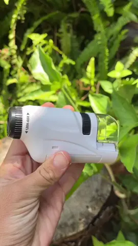 Link in the comments⬇️⬇️ #toys #baby #kidstiktok #kidstoys #microscope #microscopeforkids #minimicroscope #nature #pocketmicroscope 