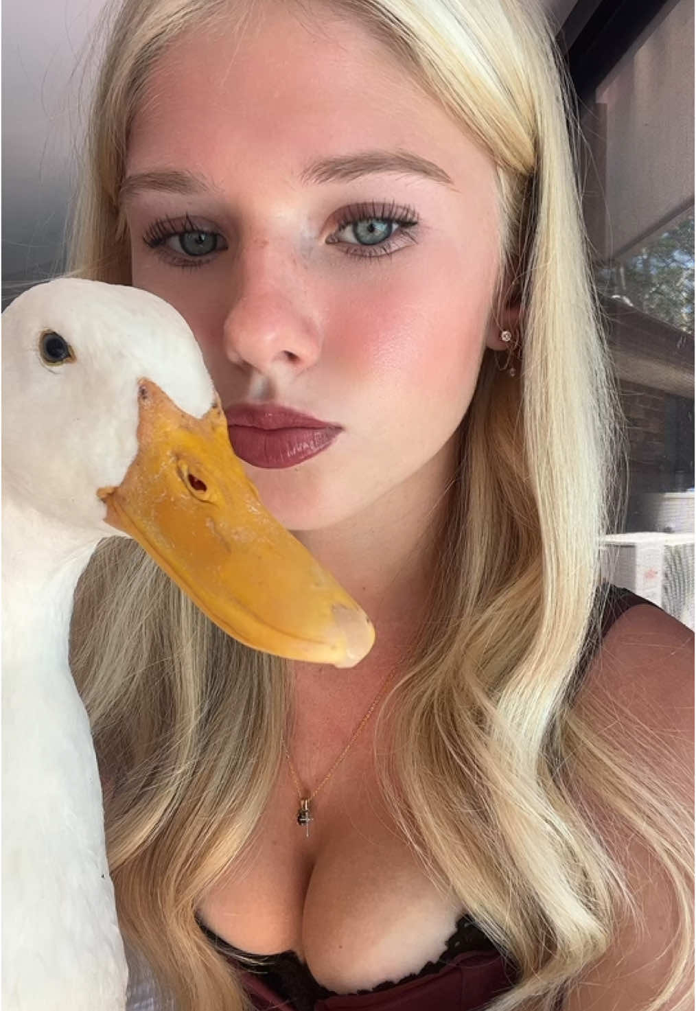 ducky #duck 