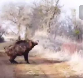 # Hashtag Moi người nho fowlo giúp đỡ mình để mình làm nhiều video hay nữa nhé 