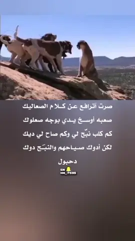 #قصيد #شعر دحبول #عمالقة_الشعر #المملكة_العربية_السعودية🇸🇦 
